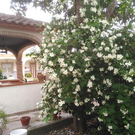Vivienda Turistica Rural Mari Carmen Villa บาเอซา ภายนอก รูปภาพ