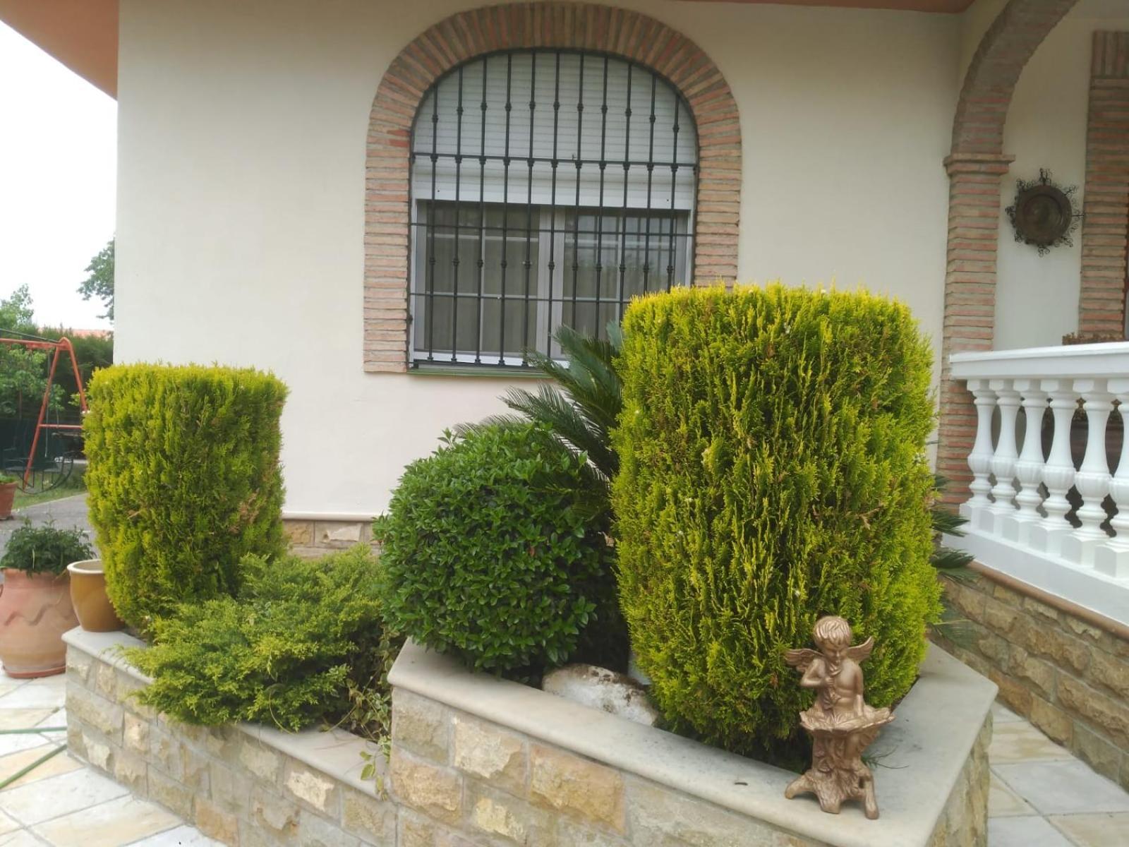 Vivienda Turistica Rural Mari Carmen Villa บาเอซา ภายนอก รูปภาพ