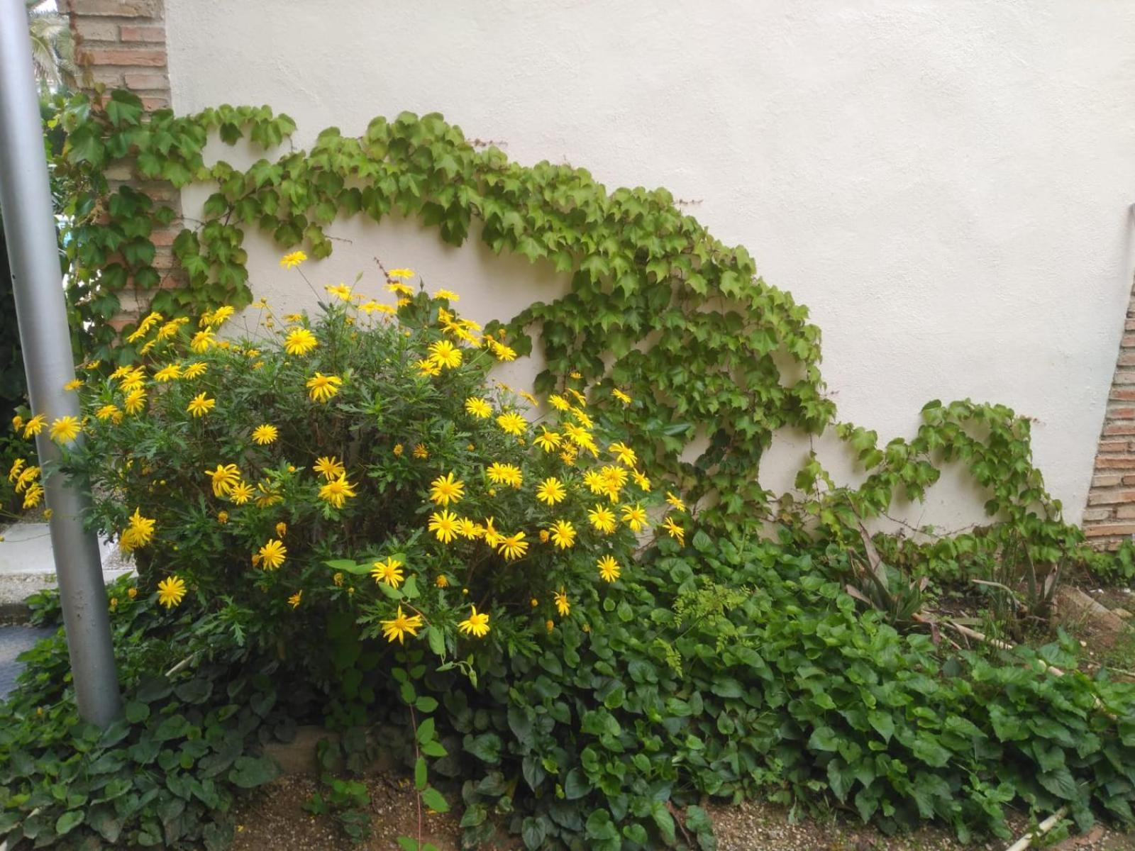 Vivienda Turistica Rural Mari Carmen Villa บาเอซา ภายนอก รูปภาพ