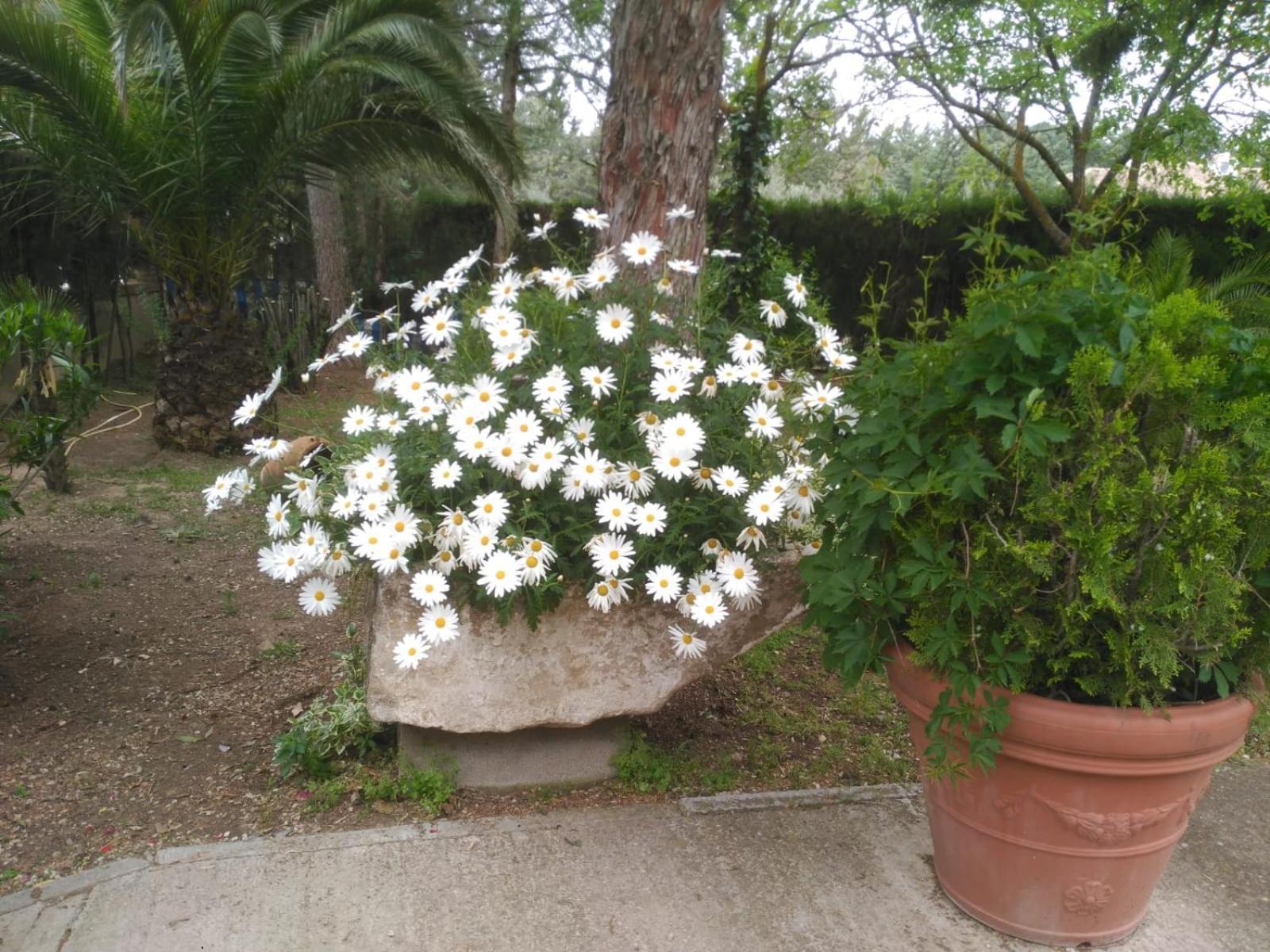 Vivienda Turistica Rural Mari Carmen Villa บาเอซา ภายนอก รูปภาพ
