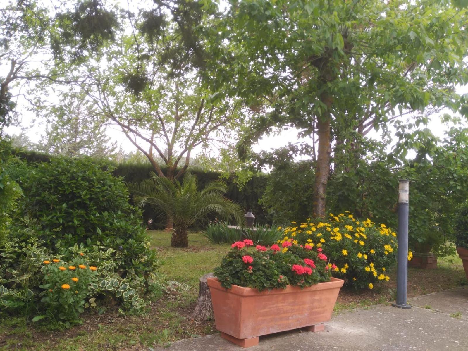 Vivienda Turistica Rural Mari Carmen Villa บาเอซา ภายนอก รูปภาพ